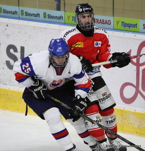 2014ihmsvksui