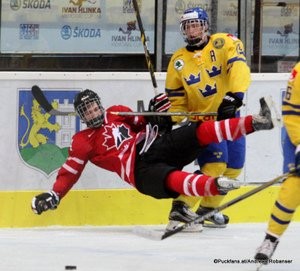 Memorial of Ivan Hlinka 2015  Breclav  CAN - SWE William Bitten #15 ©Puckfans.at/Andreas Robanser 