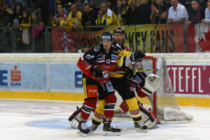 Vienna Capitals - HC Orli Znojmo Eissportzentrum Albert Schulzhalle Vienna EBEL Saison 2015-16 #10 David Bartos, #15 Danny Bois ©Puckfans.at/Andreas Urban