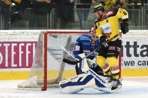 Vienna Capitals - Fehervar AV19 Eissportzentrum Albert Schulzhalle Vienna EBEL Saison 2015-16 #31 Miklos Rajna, #6 Rafael Rotter ©Puckfans.at/Andreas Urban