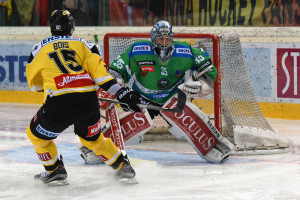 Vienna Capitals - HDD Telemach Olimpija Ljubljana Eissportzentrum Albert Schulzhalle Vienna EBEL Saison 2015-16 #15 Danny Bois, #35 Oliver Roy ©Puckfans.at/Andreas Urban