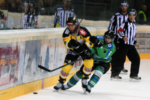 Vienna Capitals - HDD Telemach Olimpija Ljubljana Eissportzentrum Albert Schulzhalle Vienna EBEL Saison 2015-16 #6 Rafael Rotter ©Puckfans.at/Andreas Urban