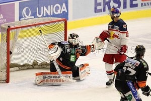Graz 99ers - EC Red Bull Salzburg EBEL Saison 2015-16 Sebastian Dahm #31, Per Ledin #97 ©Krainbucher Werner/Puckfans.at