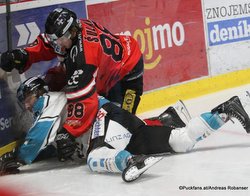 EBEL 1/2 Finale Game 5: HC Orli Znojmo - EHC Black Wings Linz Marius Göhringer #28, Libor Sulak #88 ©Puckfans.at/Andreas Robanser