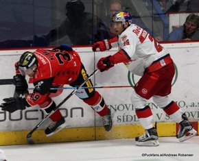 HC Orli Znojmo - EC Red Bull Salzburg Tomas Plihal #39, Peter Hochkofler #26 ©Puckfans.at/Andreas Robanser