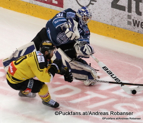 Vienna Capitals - Fehervar AV19  Miklos Rajna #31, Kelsey Tessier #90 Albert Schultz-Eishalle  ©Puckfans.at/Andreas Robanser