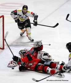 EBEL Qualifikations Runde HC Orli Znojmo - Dornbirner EC Chris D'Alvise #15, Marek Schwarz #3 ©Puckfans.at/Andreas Robanser