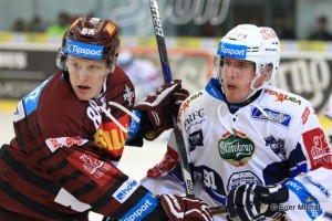 Extraliga Playoffs 2017 Kometa - Brno - Sparta Praha © Eger Michal