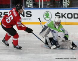 IIHF World Championship 2017 SUI - SLO Damien Brunner #96, Matija Pintaric #69 Paris, Bercy ©Puckfans.at/Andreas Robanser