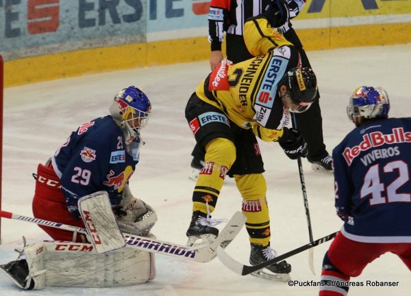 Vienna Capitals - EC Red Bull Salzburg Peter Schneider #3, Bernhard Starkbaum #29 Albert Schultz Eishalle ©Puckfans.at/Andreas Robanser
