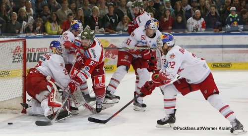 EC Red Bull Salzburg - HC Bozen Bernhard Starkbaum #29, Mike Halmo #91, Matthias Trattnig  #51, John Hughes  #72 ©Puckfans.at/Werner Krainbucher