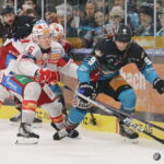 Tobias Sablattnig #6, Emil Romig #9, ICEHL Round 41 Black Wings Linz - EC KAC, Linz AG Eisarena, © Puckfans.at / Andreas Robanser